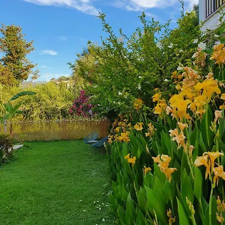 Aristotelis Aparthotel Nydri (Lefkada)